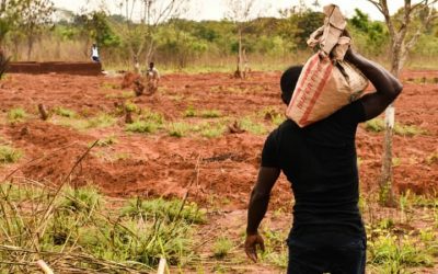 Con la ecología, todos «ghanamos»