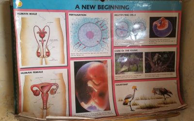 De educación sexual y otras artes