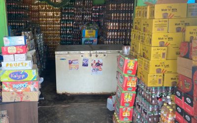 Oportunidades y autosuficiencia en Larabanga